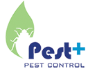 Pest Plus